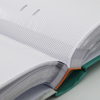 Album wsuwany Steam Zielony (300 zdjęć 9x13)